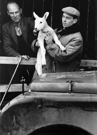 Jim Clark éleveur de moutons...
© DR